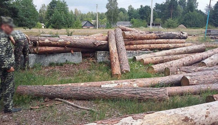 На Волыни руководителя лесхоза будут судить за растрату госимущества