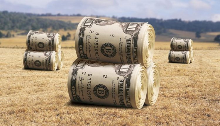 Только 19 % украинцев поддерживают продажу земли