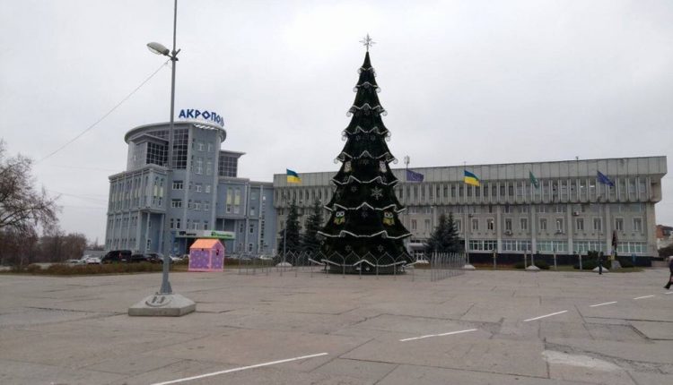 Чиновники купили елку на Prozorro за 1,5 млн