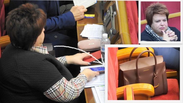 Нардеп Ирина Ефремова пришла в Раду с сумкой за 65 тысяч