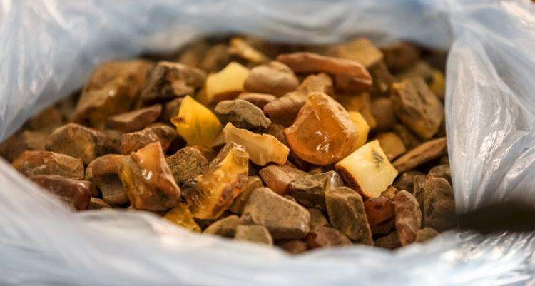 В Ровно арестовали партию янтаря на 16 млн гривен