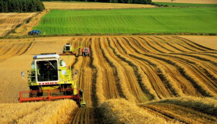 Continental Farmers ведет переговоры о покупке агрохолдинга «Мрия»