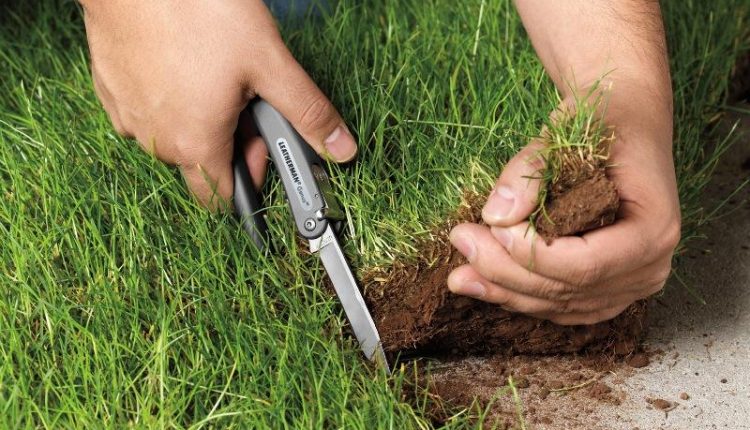 На Киевщине прокуратура требует от экс-губернатора вернуть 25 гектаров земли