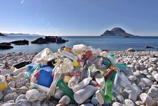 В Китае создали пластик, который разлагается в воде