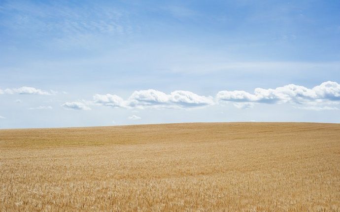 Кабмин ускоряет снятие моратория на продажу земли