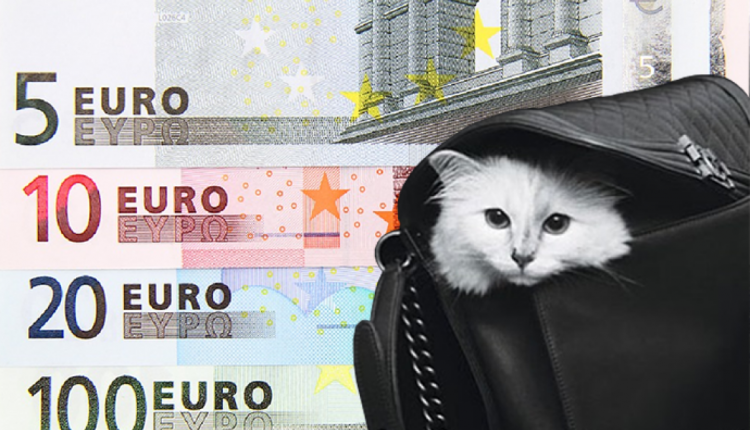 Кошка получит $3 млн из наследства Лагерфельда