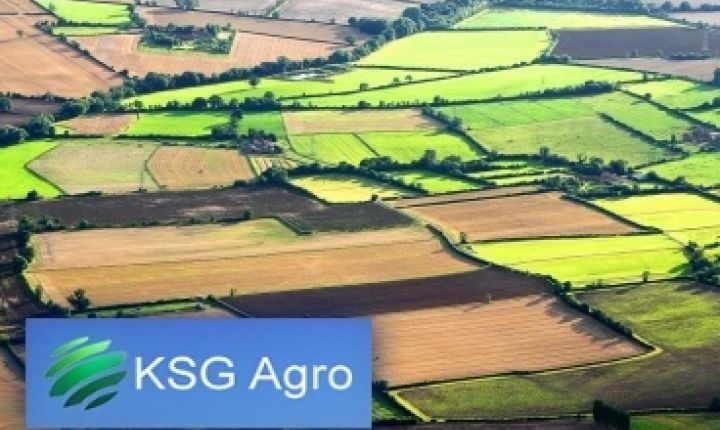 Стало известно, кому KSG Agro продал предприятие на Днепропетровщине
