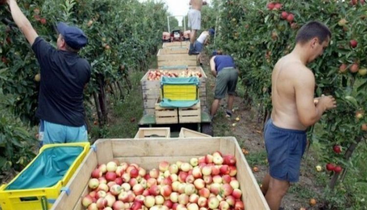12% украинцев собираются навсегда уехать за границу