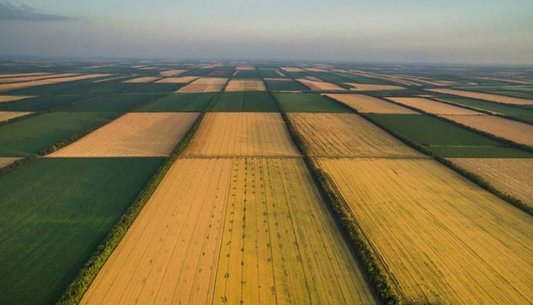В Раде хотят до 2024 года не допускать иностранцев к покупке земли