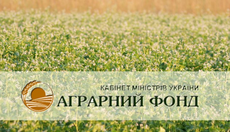 Внутренний аудит «Аграрного фонда» выявил 3 млрд убытков